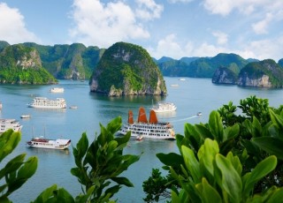 HANOI - SAPA - FANSIPAN - NINH BINH - HALONG BAY 7 DAYS / 6 NIGHTS from only 339 USD/person